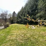 Waldhaus Willingen Sauerland - Charming Near Forest For 12 Guests With Huge Garden - Nearby Winter Sports Area With Slope - Hiking And Nature * Brilon