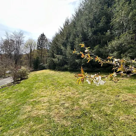 Unter Dem Ginster - Forest Villa For 12 - 1500M2 Private Garden - Near Willingen Ski Area - Hiking & Nature * 브릴온