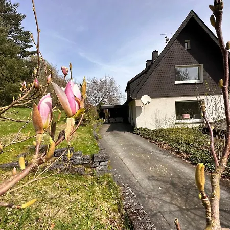 Unter Dem Ginster - Forest Villa For 12 - 1500M2 Private Garden - Near Willingen Ski Area - Hiking & Nature