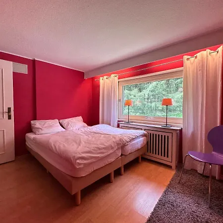 Waldhaus Willingen Sauerland - Charming Near Forest For 12 Guests With Huge Garden - Nearby Winter Sports Area With Slope - Hiking And Nature