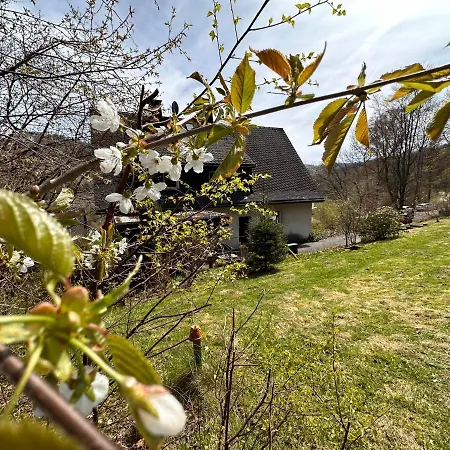 Unter Dem Ginster - Forest For 12 - 1500m2 Private Garden - Near Willingen Area - Hiking & Nature