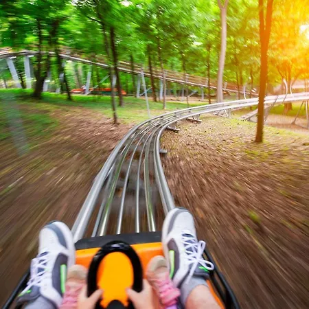 Βίλα Waldhaus Willingen Sauerland - Charming Near Forest For 12 Guests With Huge Garden - Nearby Winter Sports Area With Slope - Hiking And Nature