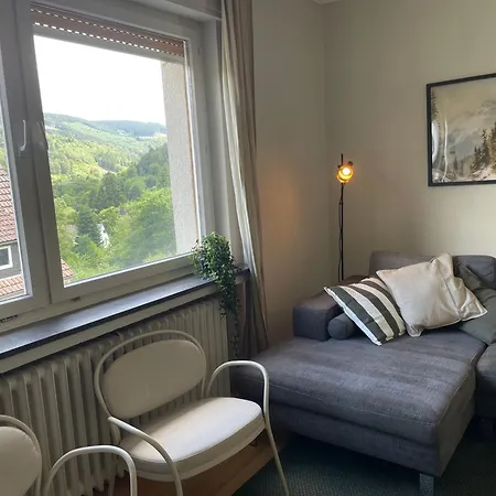 Villa Unter Dem Ginster - Forest For 12 - 1500m2 Private Garden - Near Willingen Area - Hiking & Nature Brilon
