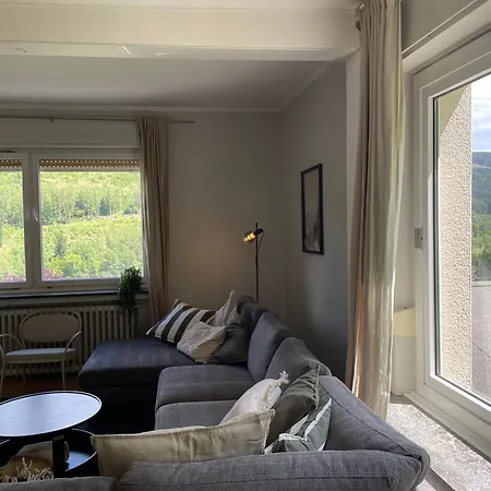 Unter Dem Ginster - Forest For 12 - 1500m2 Private Garden - Near Willingen Area - Hiking & Nature * Brilon