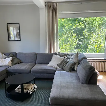 Unter Dem Ginster - Forest For 12 - 1500m2 Private Garden - Near Willingen Area - Hiking & Nature * Brilon