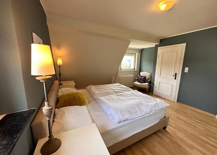 Vila Waldhaus Willingen Sauerland - Charming Near Forest For 12 Guests With Huge Garden - Nearby Winter Sports Area With Slope - Hiking And Nature