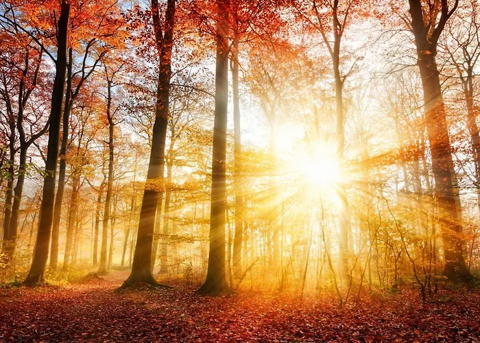 Waldhaus Willingen Sauerland - Charming Near Forest For 12 Guests With Huge Garden - Nearby Winter Sports Area With Slope - Hiking And Nature Villa *