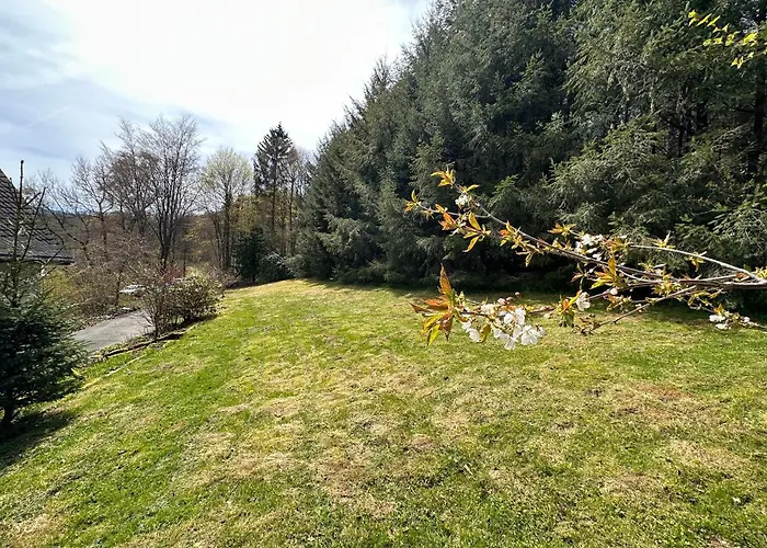 Waldhaus Willingen Sauerland - Charming Near Forest For 12 Guests With Huge Garden - Nearby Winter Sports Area With Slope - Hiking And Nature * Brilon