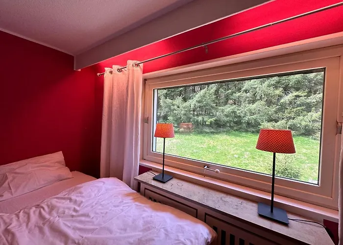 Waldhaus Willingen Sauerland - Charming Near Forest For 12 Guests With Huge Garden - Nearby Winter Sports Area With Slope - Hiking And Nature