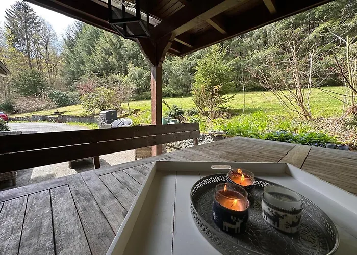 Waldhaus Willingen Sauerland - Charming Near Forest For 12 Guests With Huge Garden - Nearby Winter Sports Area With Slope - Hiking And Nature Brilon