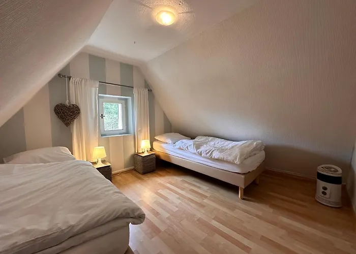 Waldhaus Willingen Sauerland - Charming Near Forest For 12 Guests With Huge Garden - Nearby Winter Sports Area With Slope - Hiking And Nature * Brilon