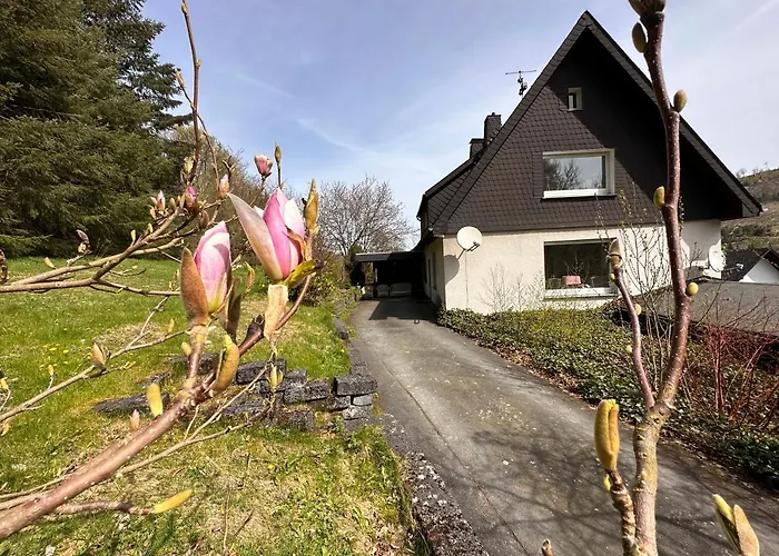 Waldhaus Willingen Sauerland - Charming Near Forest For 12 Guests With Huge Garden - Nearby Winter Sports Area With Slope - Hiking And Nature