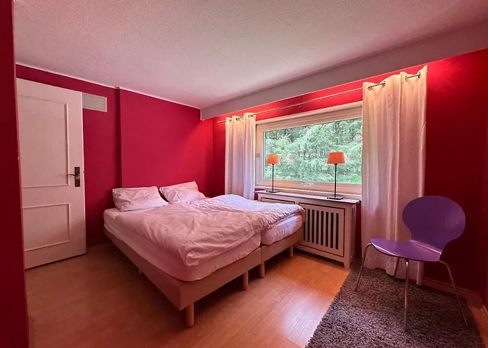 Waldhaus Willingen Sauerland - Charming Near Forest For 12 Guests With Huge Garden - Nearby Winter Sports Area With Slope - Hiking And Nature