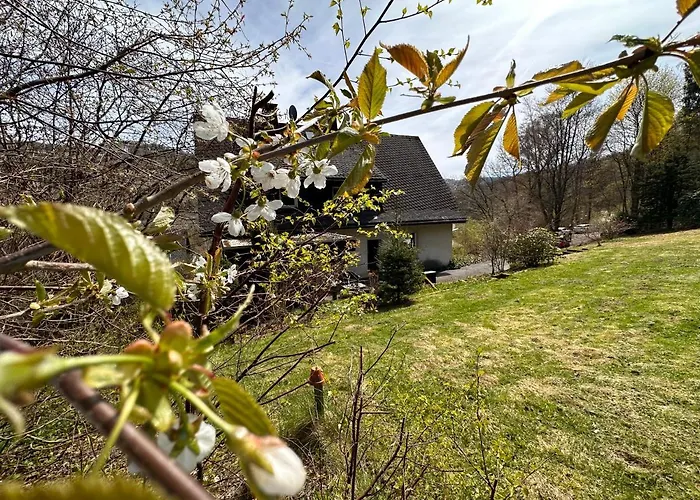 Waldhaus Willingen Sauerland - Charming Near Forest For 12 Guests With Huge Garden - Nearby Winter Sports Area With Slope - Hiking And Nature