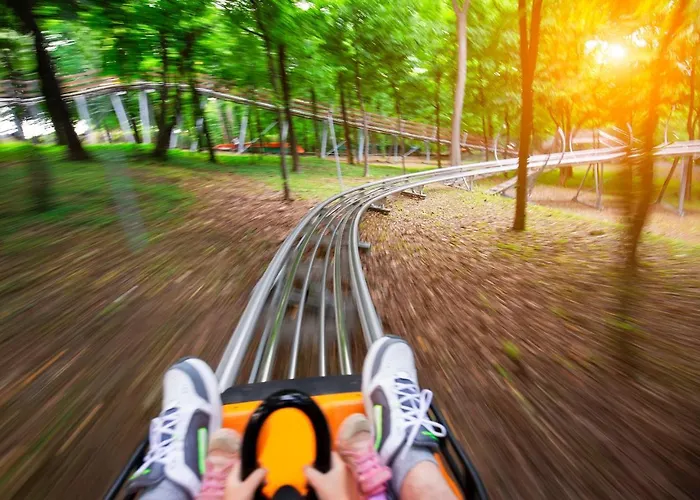 Βίλα Waldhaus Willingen Sauerland - Charming Near Forest For 12 Guests With Huge Garden - Nearby Winter Sports Area With Slope - Hiking And Nature